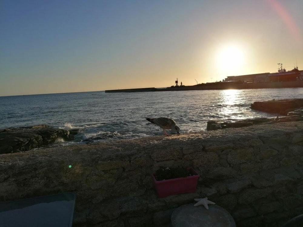 La Rose Des Sables Hotel Treffiagat Luaran gambar